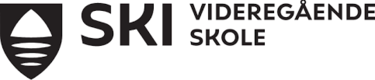 Ski VGS logo