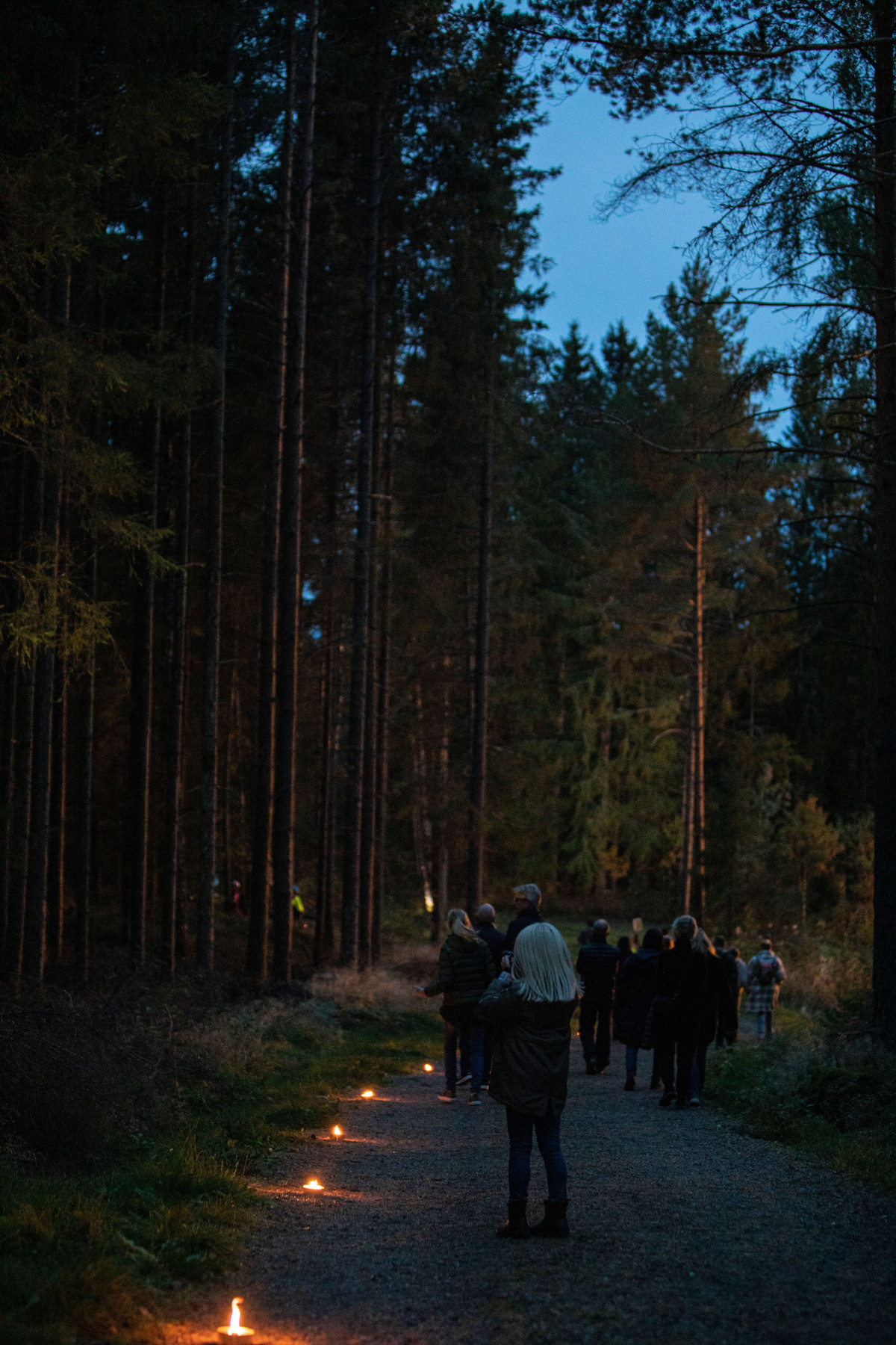 Foto: Lise Skjæraasen.